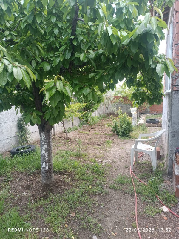 ★ AFYON ÜÇOK EMLAKTAN SALAR KASABASINDA 2+1 90m² SATILIK DOĞALGAZLI MÜSTAKİL EV ★