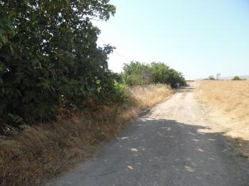 GÜMÜŞYAKADA YATIRIMLIK KONUT İMARLI 1000 M2 ARSA 