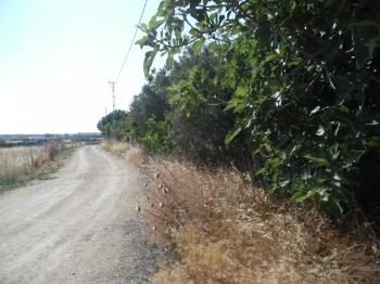 GÜMÜŞYAKADA YATIRIMLIK KONUT İMARLI 1000 M2 ARSA 