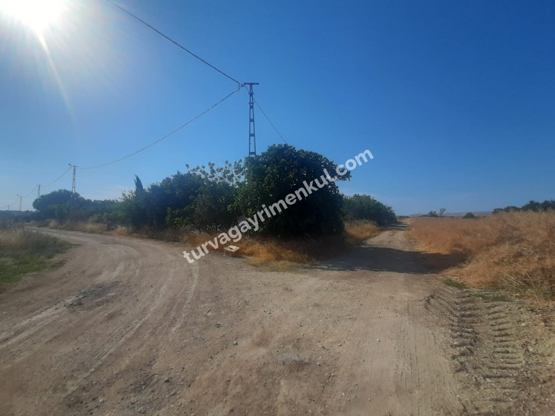 GÜMÜŞYAKADA YATIRIMLIK KONUT İMARLI 1000 M2 ARSA 