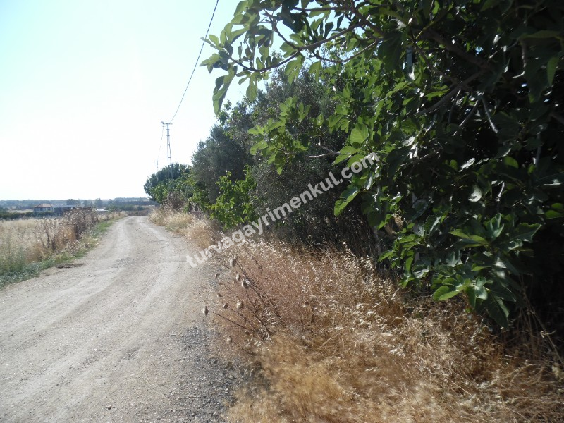 GÜMÜŞYAKADA YATIRIMLIK KONUT İMARLI 1000 M2 ARSA 