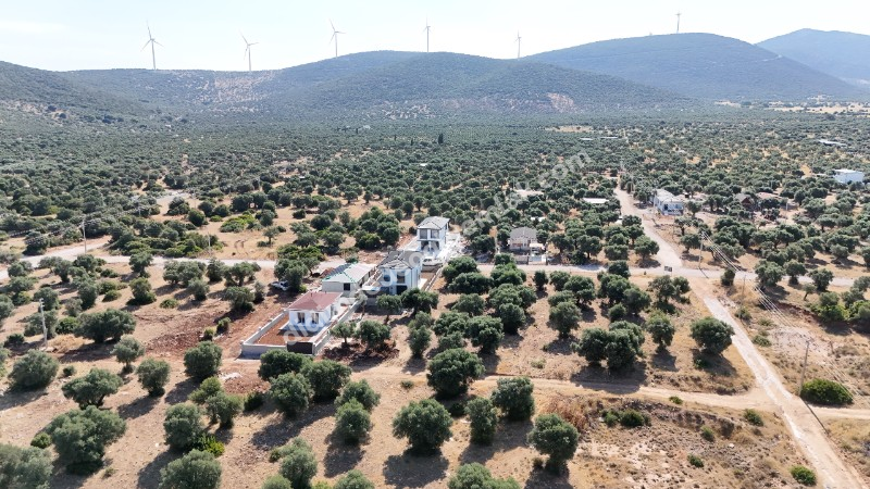 DİDİM DE  DOĞANIN İÇERİSİNDE YENİ YAŞAM ALANLARI SATILIK 20%40 İMARLI ARSALAR