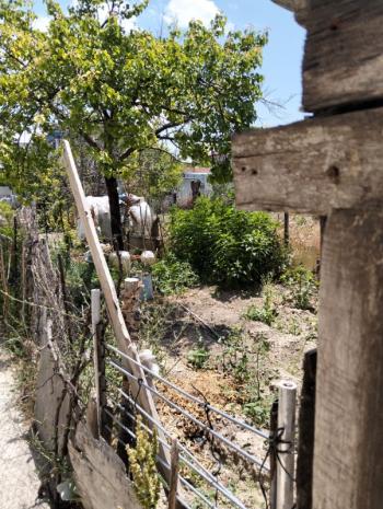 * AFYON ÜÇOK EMLAKTAN SAHİPATA MAH 3+1 110M² TEMİZ BAKIMLI KOMPLE SATILIK BİNA 