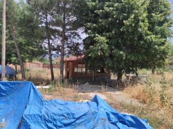GÜVANAY - ÇORUM İSKİLİP 10 DÖNÜM ÜZERİNE KURULU 350 BAŞLIK TAM TEŞEKKÜLLÜ BESİ ÇİFTLİĞİ 