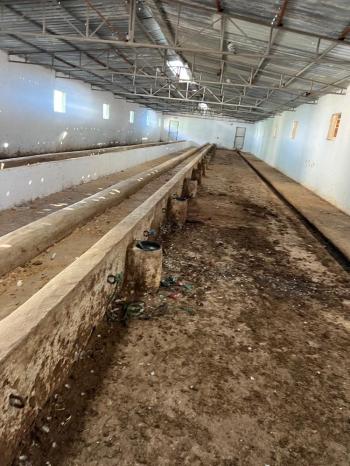 GÜVANAY - ÇORUM İSKİLİP 10 DÖNÜM ÜZERİNE KURULU 350 BAŞLIK TAM TEŞEKKÜLLÜ BESİ ÇİFTLİĞİ 