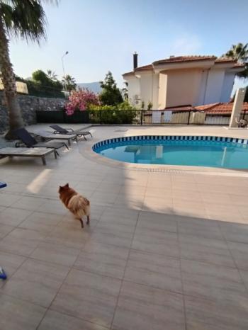 OBA ALANYA UZUN DÖNEM KİRALIK 4+1 MÜSTAKİL VİLLA