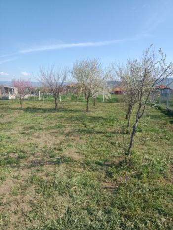 GÜVENAY - ÇORUM CEMİLBEY YOLUNDA ÇORUM 8 KM MESAFEDE ACİL SATILIK HOBİ BAHÇESİ 