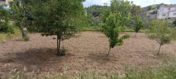 AFYON ÜÇOK EMLAKTAN ERKMEN CUMHURİYET MAH 368M² SATILIK ARSA 