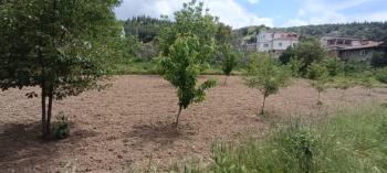 AFYON ÜÇOK EMLAKTAN ERKMEN CUMHURİYET MAH 368M² SATILIK ARSA 