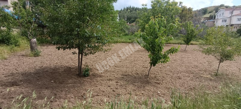 AFYON ÜÇOK EMLAKTAN ERKMEN CUMHURİYET MAH 368M² SATILIK ARSA 