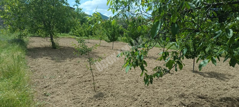 AFYON ÜÇOK EMLAKTAN ERKMEN CUMHURİYET MAH 368M² SATILIK ARSA 