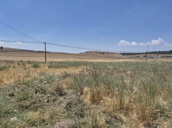 AFYON ÜÇOK EMLAKTAN SİNANPAŞA BOZKIR MEVKİNDE 673M² SATILIK ARSA 