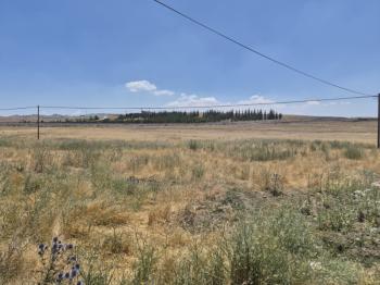 AFYON ÜÇOK EMLAKTAN SİNANPAŞA BOZKIR MEVKİNDE 673M² SATILIK ARSA 