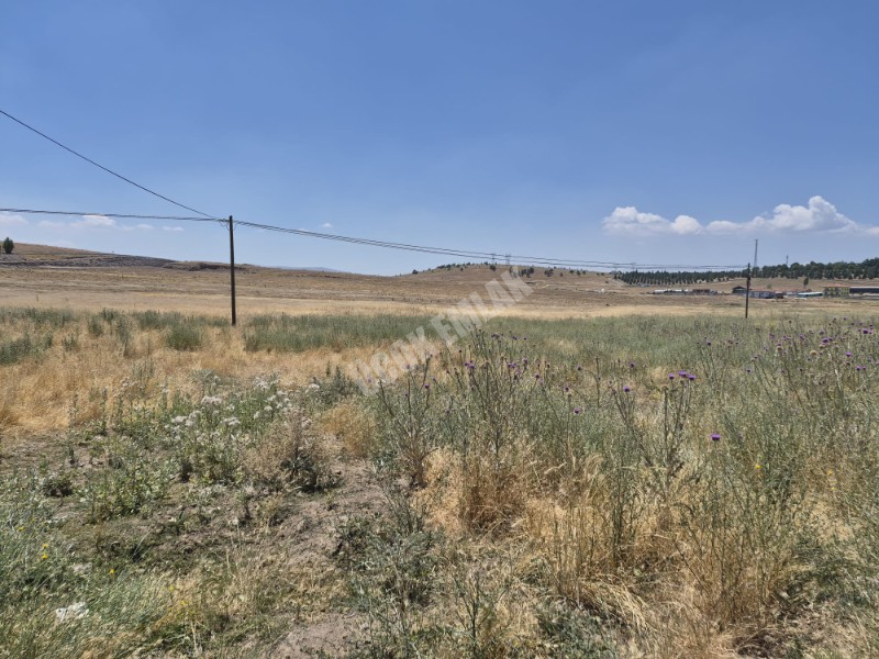 AFYON ÜÇOK EMLAKTAN SİNANPAŞA BOZKIR MEVKİNDE 673M² SATILIK ARSA 