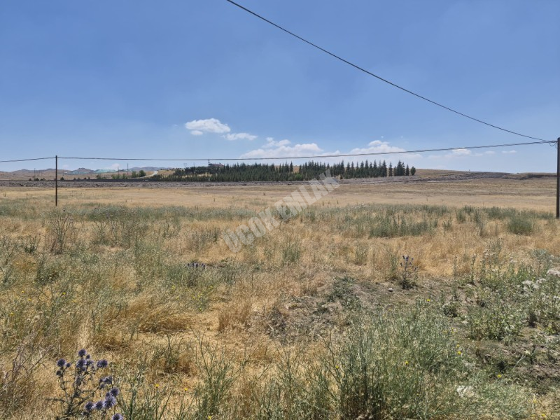 AFYON ÜÇOK EMLAKTAN SİNANPAŞA BOZKIR MEVKİNDE 673M² SATILIK ARSA 