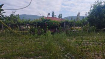 GÜVENAY - ÇORUM ŞEKER FAB. ARKASI BOĞBAĞINDA 3,800 M² BAĞ