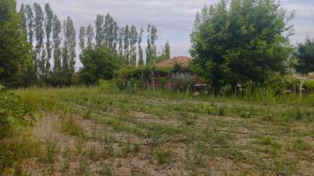 GÜVENAY - ÇORUM ŞEKER FAB. ARKASI BOĞBAĞINDA 3,800 M² BAĞ