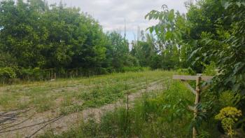 GÜVENAY - ÇORUM ŞEKER FAB. ARKASI BOĞBAĞINDA 3,800 M² BAĞ