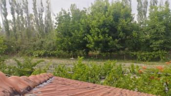 GÜVENAY - ÇORUM ŞEKER FAB. ARKASI BOĞBAĞINDA 3,800 M² BAĞ