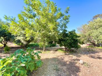 KKTC Girne Karşıyaka 1.250 m² Arsa İçerisinde Satılık 3+1 Müstakil Ev