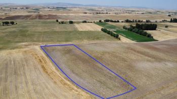 * AFYON ÜÇOK EMLAKTAN İHSANİYE CUMHURİYET MEVKİNDE 9.767M² YATIRIMA UYGUN SATILIK TARLA *