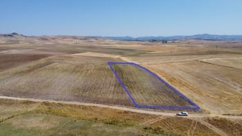 * AFYON ÜÇOK EMLAKTAN İHSANİYE CUMHURİYET MEVKİNDE 9.767M² YATIRIMA UYGUN SATILIK TARLA *