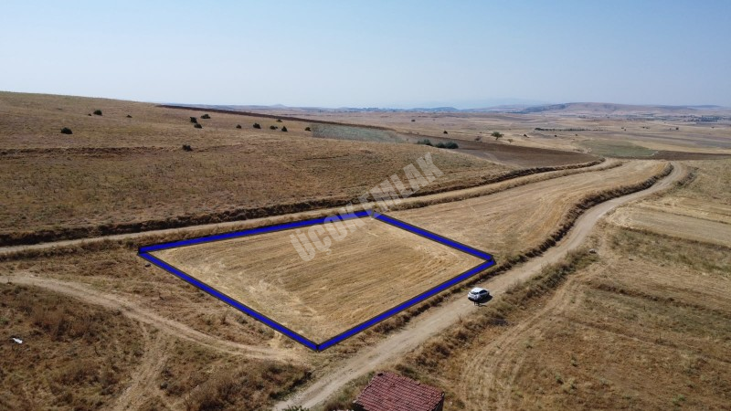 * AFYON ÜÇOK EMLAKTAN İHSANİYE KAYIHAN TÜRBE 2.045M² SATILIK TARLA *