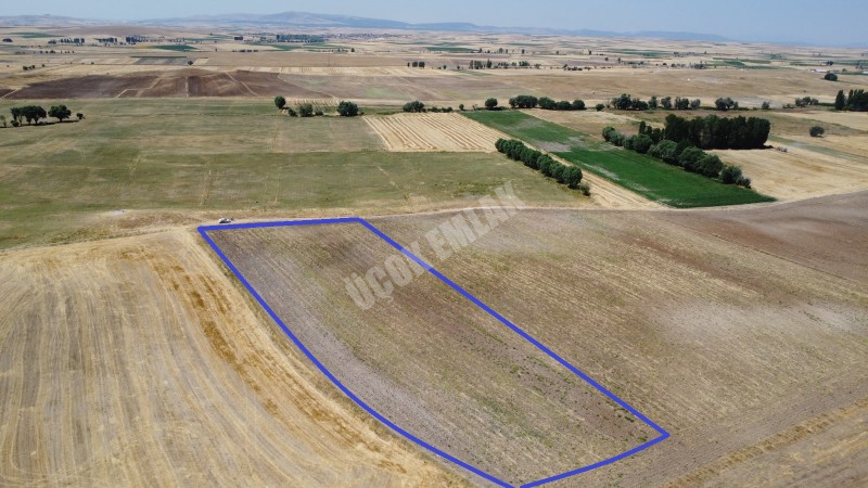 * AFYON ÜÇOK EMLAKTAN İHSANİYE CUMHURİYET MEVKİNDE 9.767M² YATIRIMA UYGUN SATILIK TARLA *