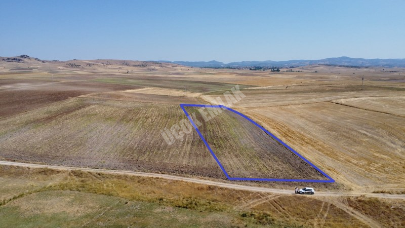 * AFYON ÜÇOK EMLAKTAN İHSANİYE CUMHURİYET MEVKİNDE 9.767M² YATIRIMA UYGUN SATILIK TARLA *