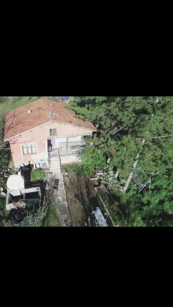 GÜVENAY - ÇORUM  ÜÇTUTLAR AYARIK BAĞLARI 1980 M2 SATILIK TEK TAPULU BAĞ