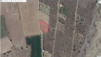 * AFYON ÜÇOK EMLAKTAN DEĞİRMENDERE SELLİK MEVKİNDE 1283.42M²SATILIK TARLA *