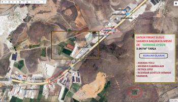 AFYON ÜÇOK EMLAKTAN SUSUZ - SAKARYA MEVKİNDE 5.967M² SATILIK TARLA 