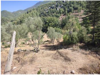ANTALYA AKSEKİ ARSA TAPU SAHİBİ PERTA EMLAK ÜMİT TAHMAZ