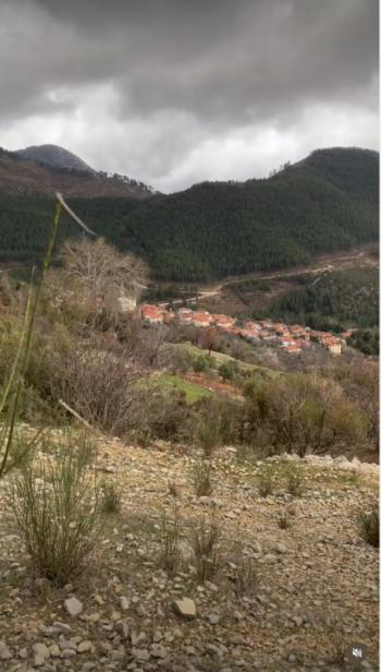 ANTALYA AKSEKİ ARSA TAPU SAHİBİ PERTA EMLAK ÜMİT TAHMAZ