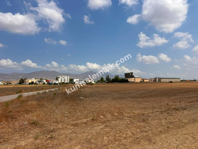 CİHANGİRDE FASIL 96 İZİNLİ ARAZİ 