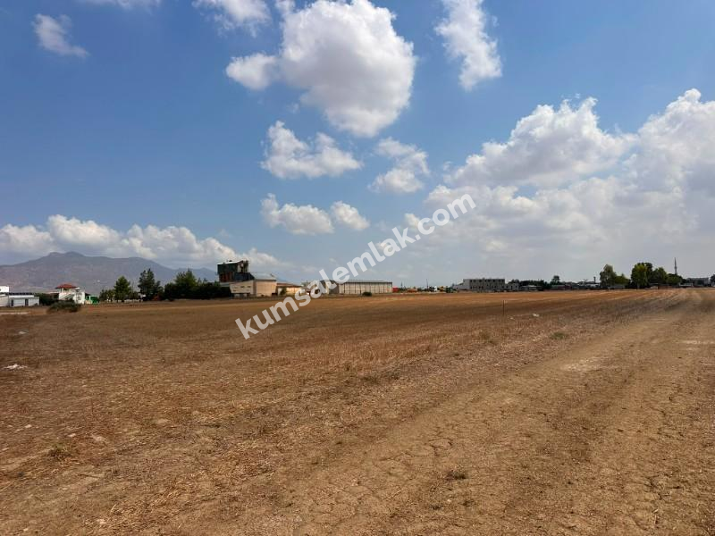 CİHANGİRDE FASIL 96 İZİNLİ ARAZİ 