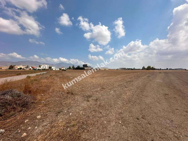 CİHANGİRDE FASIL 96 İZİNLİ ARAZİ 