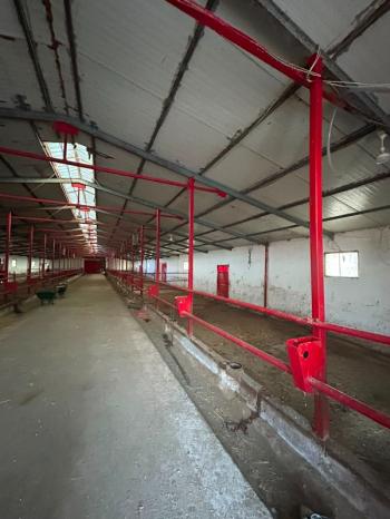 AFYON ÜÇOK EMLAKTAN ATAKÖY MAH 4.565M² GENİŞLİĞİNDE HAYVANCILIĞA UYGUN SATILIK ÇİFTLİK 