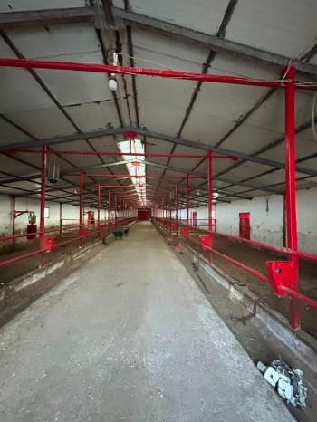 AFYON ÜÇOK EMLAKTAN ATAKÖY MAH 4.565M² GENİŞLİĞİNDE HAYVANCILIĞA UYGUN SATILIK ÇİFTLİK 