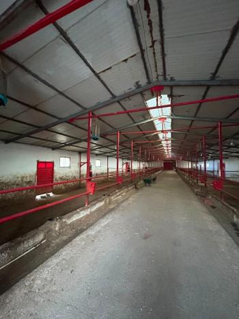AFYON ÜÇOK EMLAKTAN ATAKÖY MAH 4.565M² GENİŞLİĞİNDE HAYVANCILIĞA UYGUN SATILIK ÇİFTLİK 