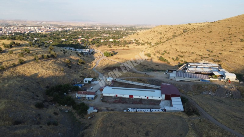 AFYON ÜÇOK EMLAKTAN ATAKÖY MAH 4.565M² GENİŞLİĞİNDE HAYVANCILIĞA UYGUN SATILIK ÇİFTLİK 