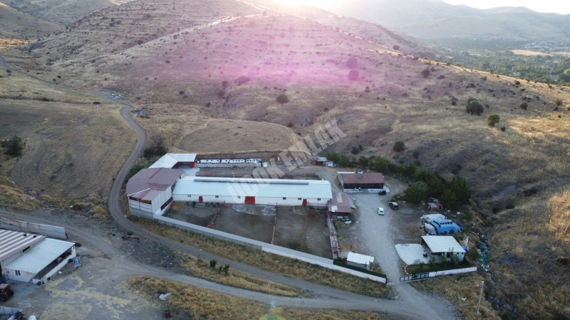 AFYON ÜÇOK EMLAKTAN ATAKÖY MAH 4.565M² GENİŞLİĞİNDE HAYVANCILIĞA UYGUN SATILIK ÇİFTLİK 