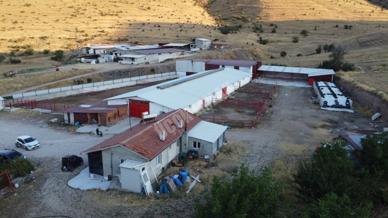 AFYON ÜÇOK EMLAKTAN ATAKÖY MAH 4.565M² GENİŞLİĞİNDE HAYVANCILIĞA UYGUN SATILIK ÇİFTLİK 