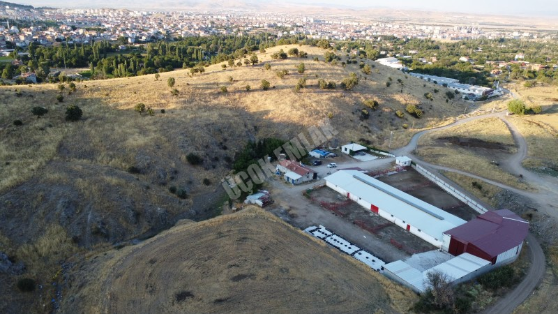 AFYON ÜÇOK EMLAKTAN ATAKÖY MAH 4.565M² GENİŞLİĞİNDE HAYVANCILIĞA UYGUN SATILIK ÇİFTLİK 