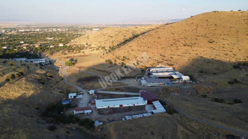AFYON ÜÇOK EMLAKTAN ATAKÖY MAH 4.565M² GENİŞLİĞİNDE HAYVANCILIĞA UYGUN SATILIK ÇİFTLİK 