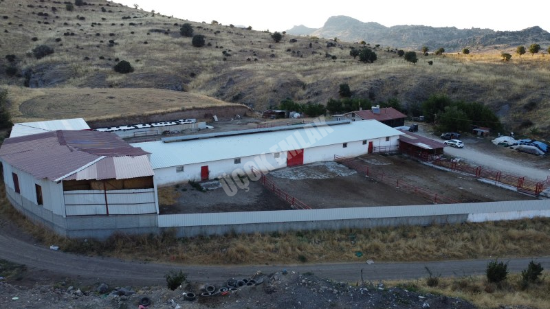 AFYON ÜÇOK EMLAKTAN ATAKÖY MAH 4.565M² GENİŞLİĞİNDE HAYVANCILIĞA UYGUN SATILIK ÇİFTLİK 