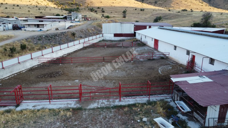 AFYON ÜÇOK EMLAKTAN ATAKÖY MAH 4.565M² GENİŞLİĞİNDE HAYVANCILIĞA UYGUN SATILIK ÇİFTLİK 