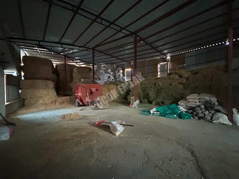 AFYON ÜÇOK EMLAKTAN ATAKÖY MAH 4.565M² GENİŞLİĞİNDE HAYVANCILIĞA UYGUN SATILIK ÇİFTLİK 