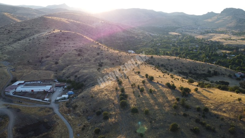 AFYON ÜÇOK EMLAKTAN ATAKÖY MAH 4.565M² GENİŞLİĞİNDE HAYVANCILIĞA UYGUN SATILIK ÇİFTLİK 