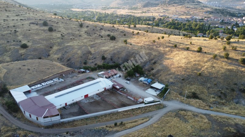 AFYON ÜÇOK EMLAKTAN ATAKÖY MAH 4.565M² GENİŞLİĞİNDE HAYVANCILIĞA UYGUN SATILIK ÇİFTLİK 